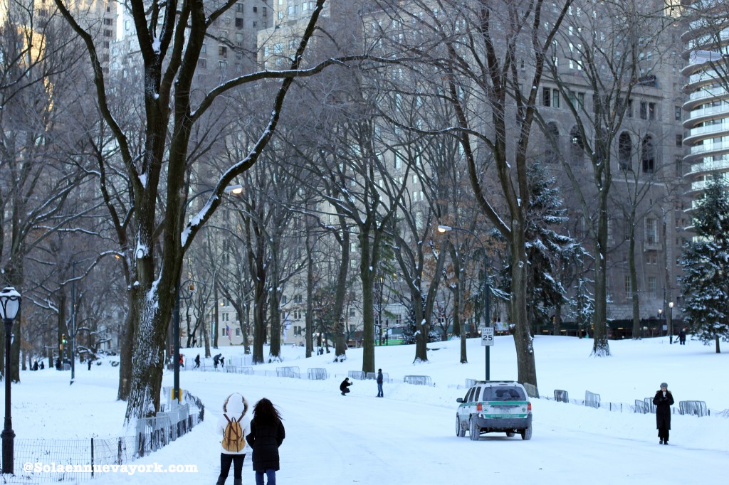 Navidad en NY