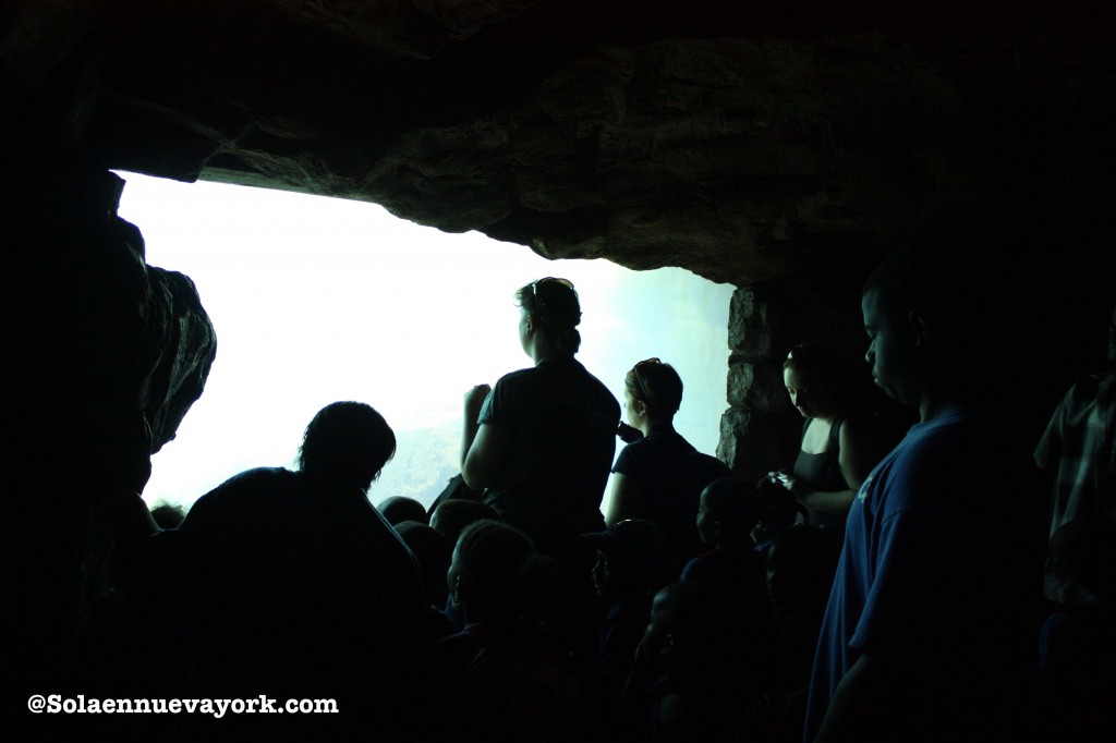 Coney Island - Aquarium